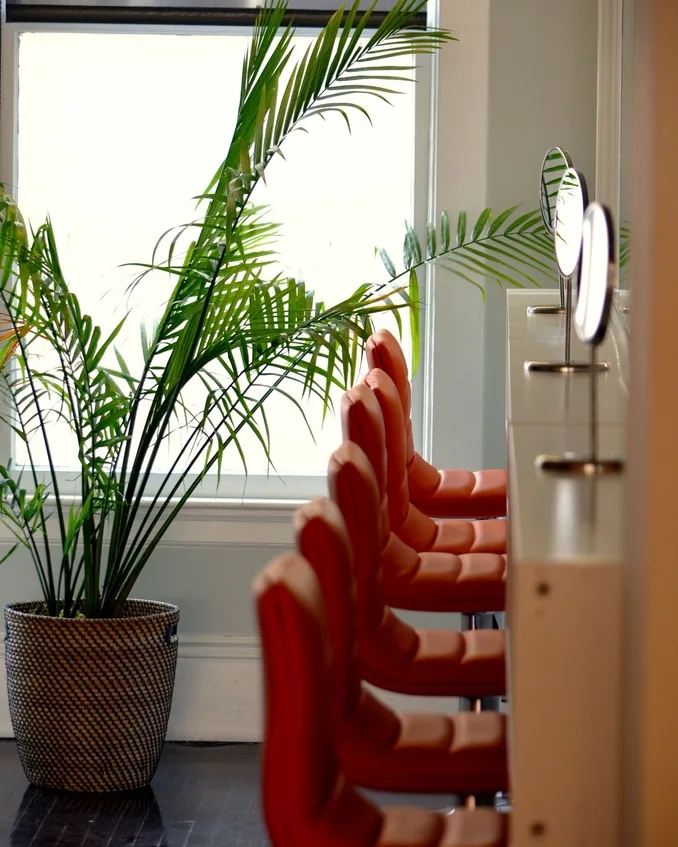Heller Salon-Innenraum mit Grünpflanze und Friseurstühlen am Fenster